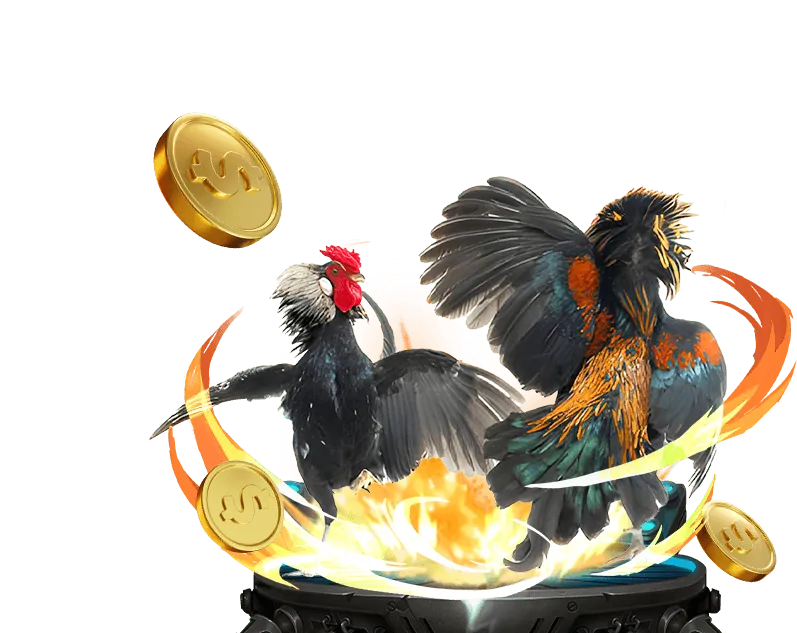 Các loại kèo cược đá gà phổ biến